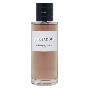 Dior cuir saddle