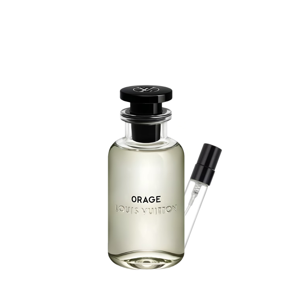 Orage Louis Vuitton pour homme