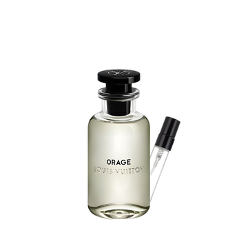 Orage Louis Vuitton pour homme