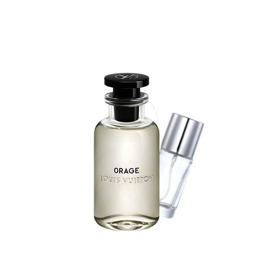 Orage Louis Vuitton pour homme