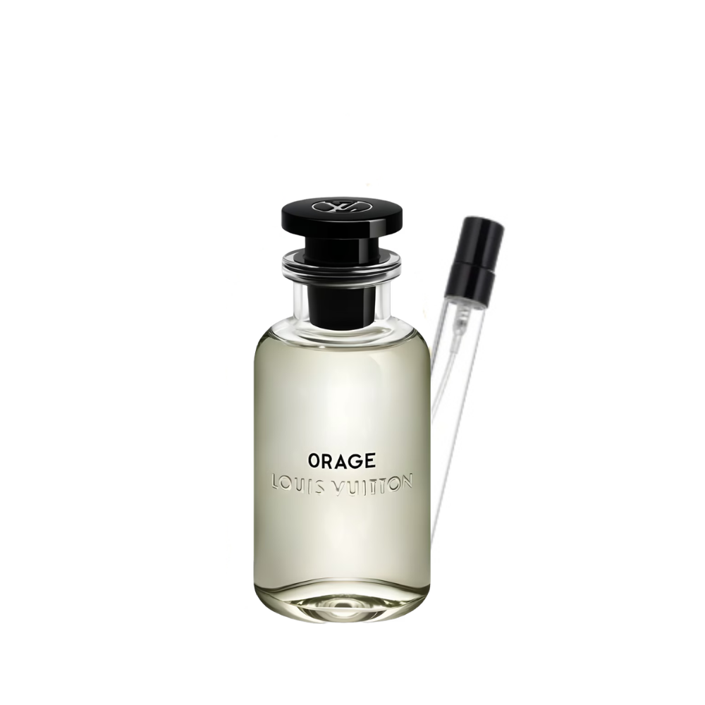 Orage Louis Vuitton pour homme